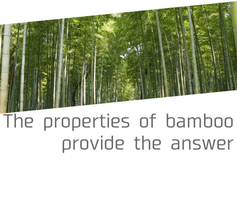 竹の特性が答えを導く