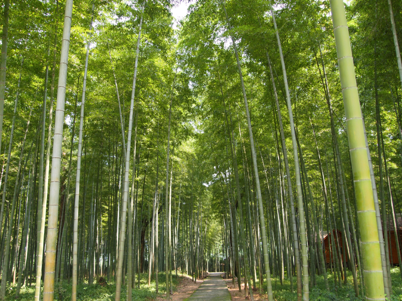 RIVERET nature